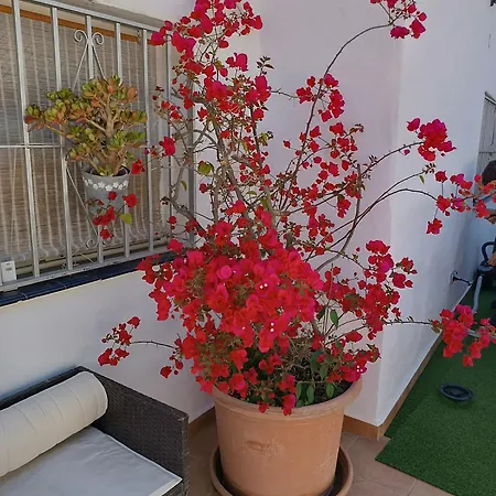 Cortijo Papaitos